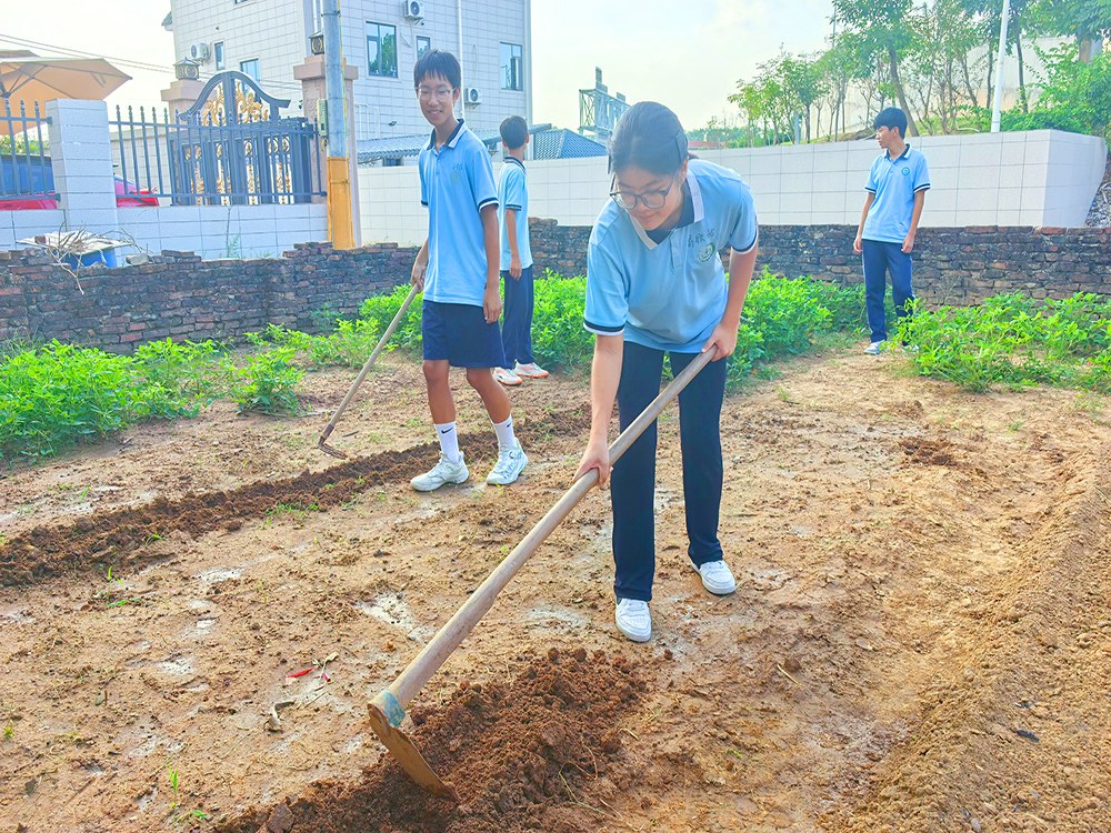 遵义正规封闭式青少年教育学校推荐指南